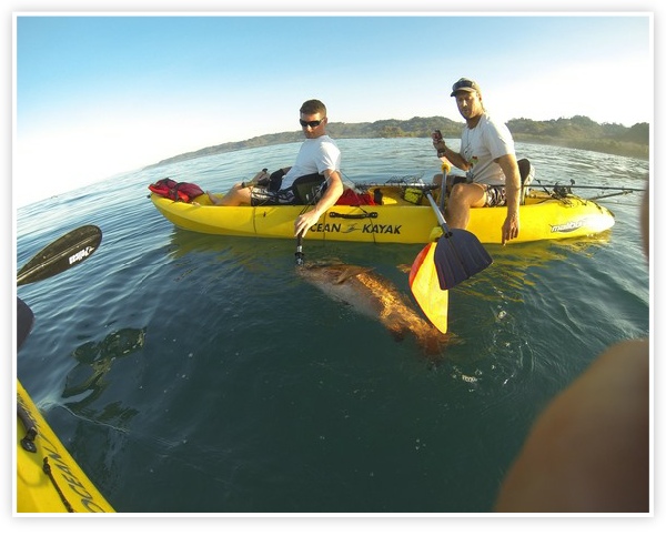 fishing and kayak